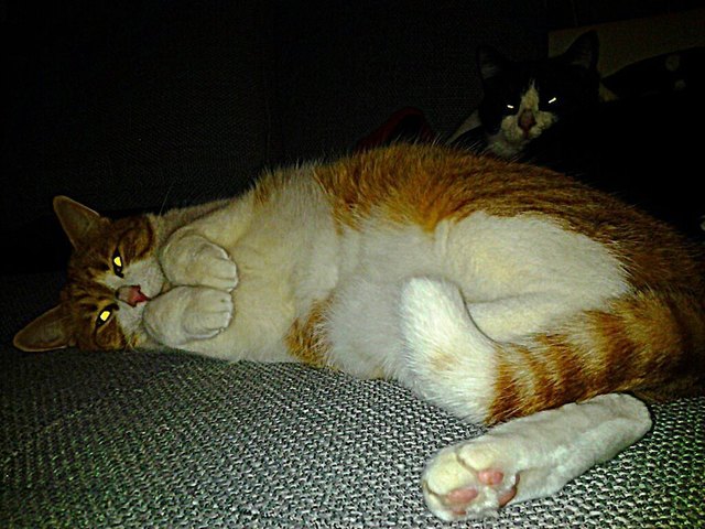 gary und patrick, von wegen nachtaktiv :)