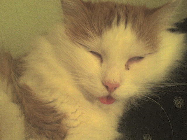 Sir Valium ganz entspannt