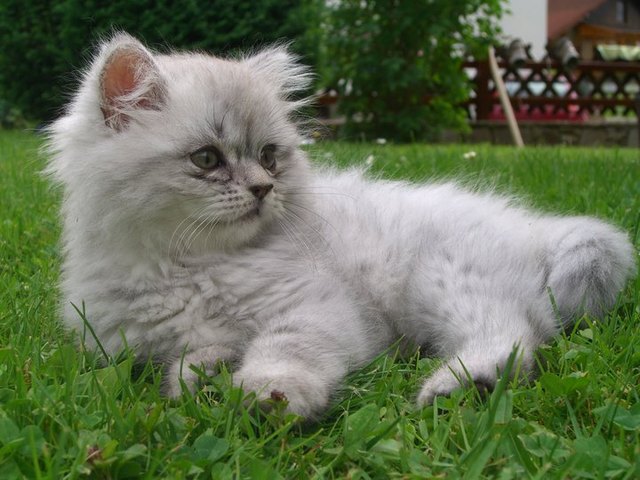 Mein kleiner Schatz
