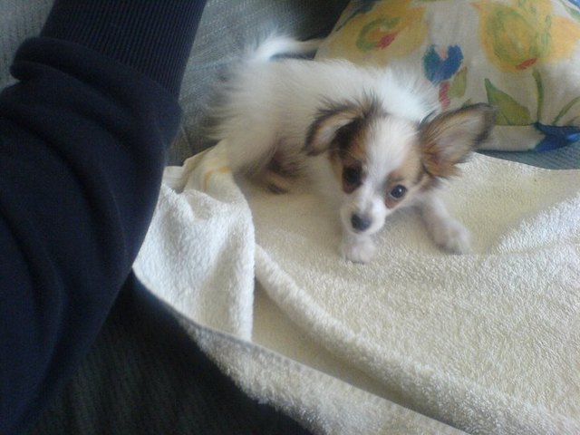 Mein kleiner Clashoooooooooooooooooo Boiiiiiiiiiiiiiiii :))