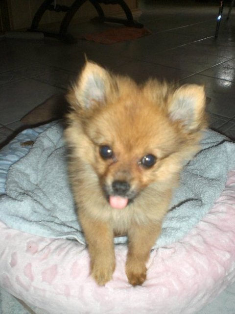 Diego
