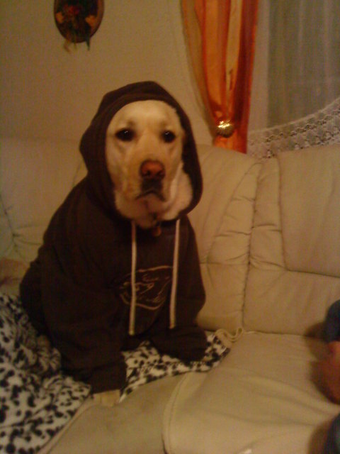 benni immer stylisch