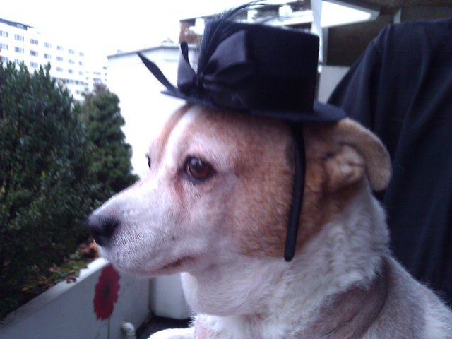 Lilly in Partylaune