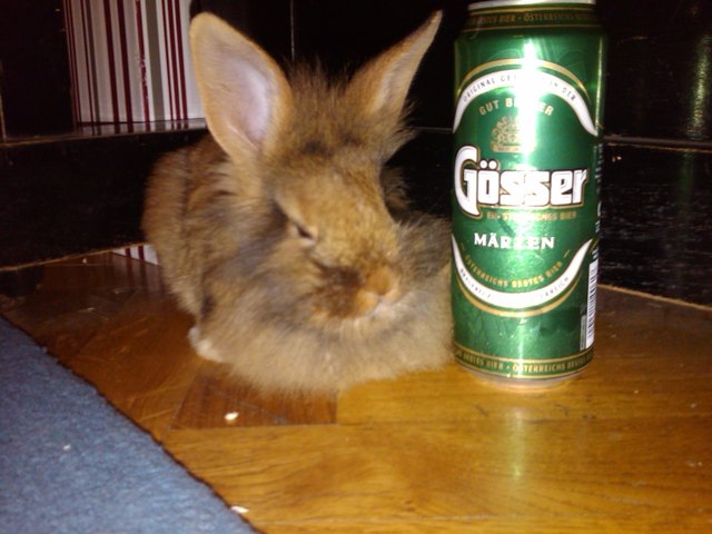 Nach einem anstrengenden Arbeitstag- das verdiente Feierabendbier