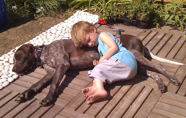 Bub&Cooper - > wahre Freundschaft