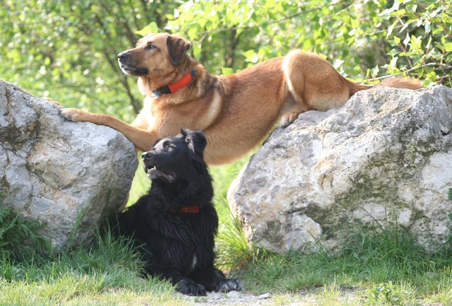 Jana und Boris die Felsenstürmer