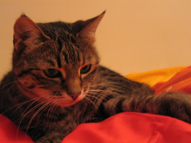 so richtig nett, ist es nur im Bett