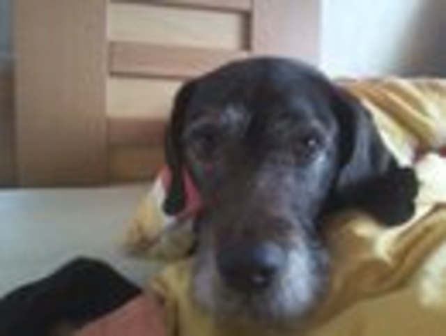 Konrad im Bett :-)