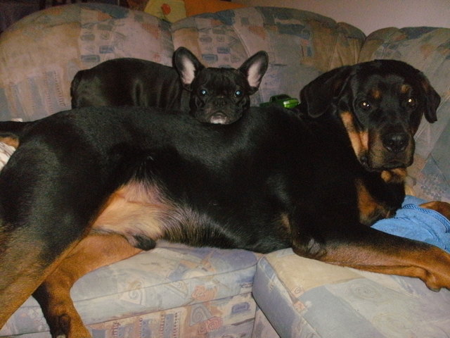Kira und Akim