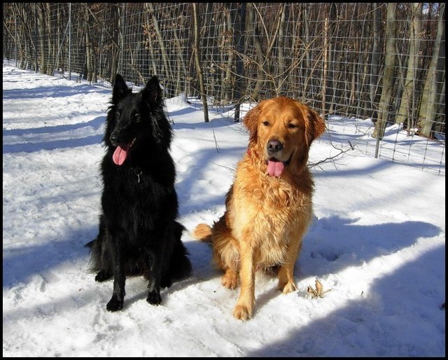 Isis und Leopold