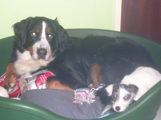 Wir relaxen jetzt....