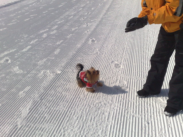 schnee macht doch gute laune!!