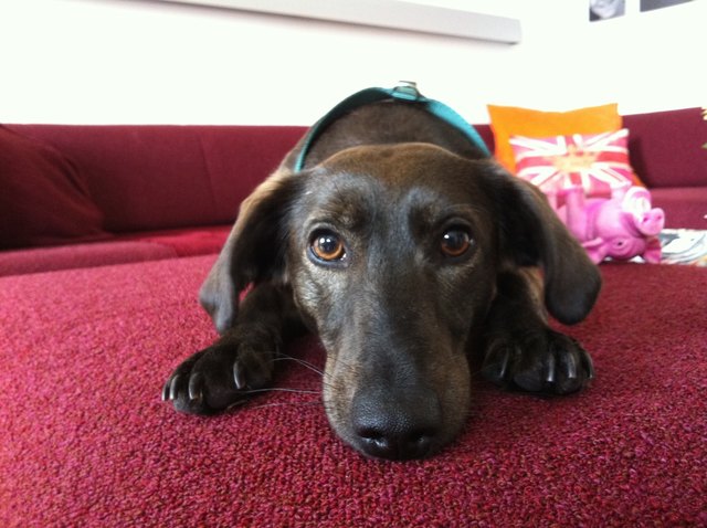 Ich bin stolz auf meine süße,kleine Kira :-)