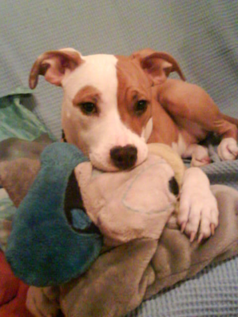 Joice liebt ihre Polster =)