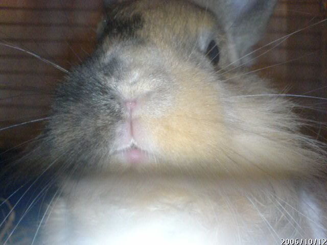 Guck, guck :D