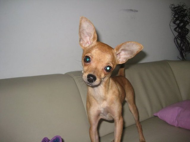Was guckst du ? =)