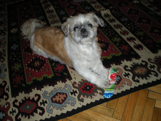 monty