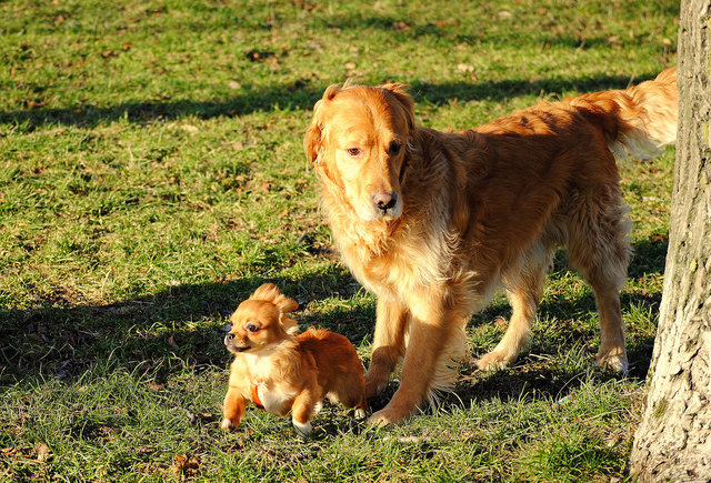 Leopold und Cindy
