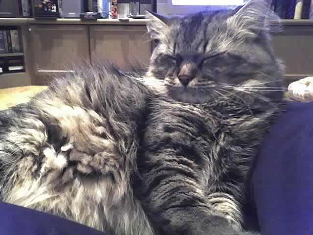 Unser Moritz.......