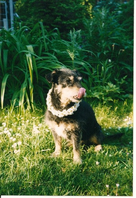 Ich bin Jessy