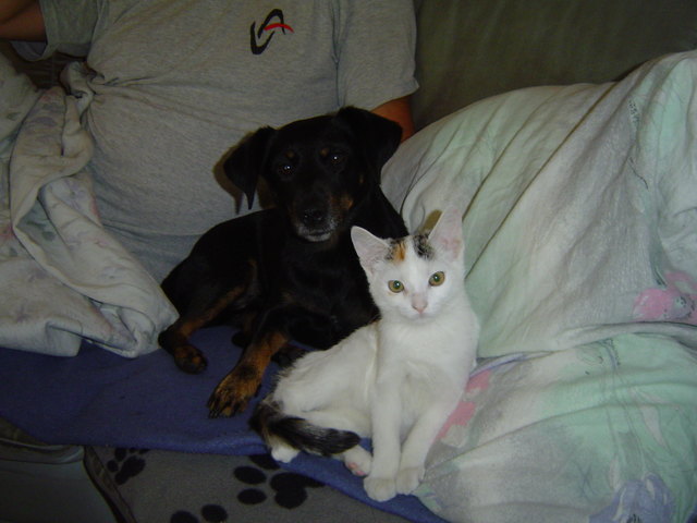 Unser Hund MAx und Die Katze Nelly