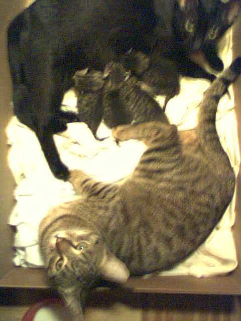eine kleine Familie ;)