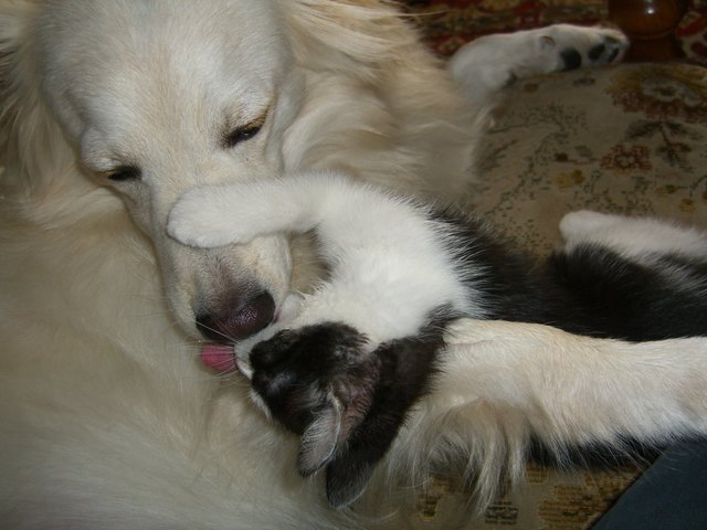 Maya und Mr.Snow