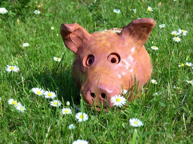 "Pflegeleichtes" Haustier bei einem Ausflug in den Garten......