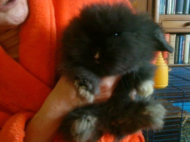 Betty als Baby