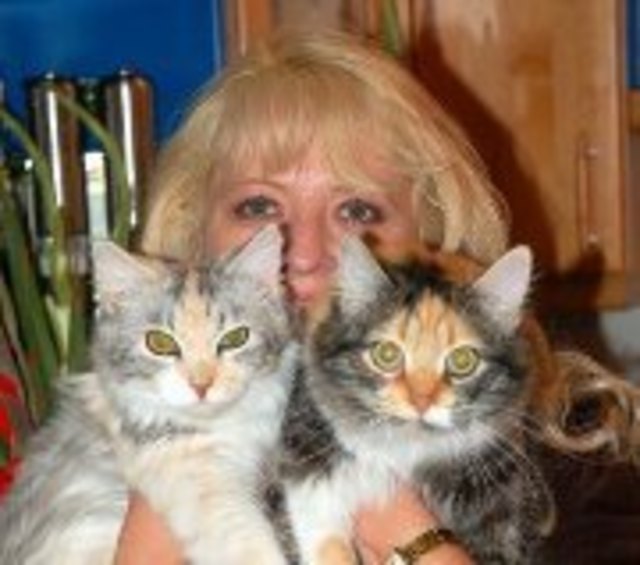 Queeny und Minka in meinen Armen, zwei Sibis mit ihrer Dienerin