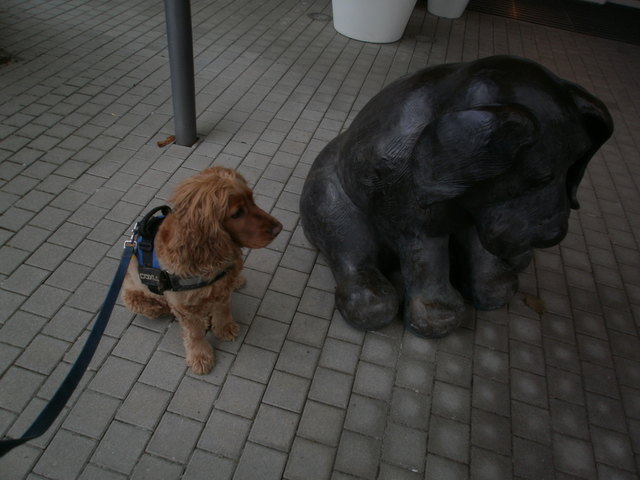 unser barry