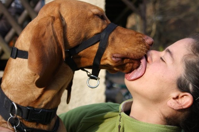 Love rules.... Liebe kennt keine Grenzen