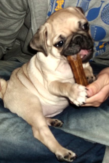 mein frankie (: