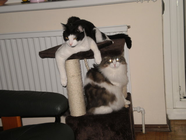 Bella und Maxi