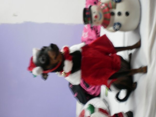 hohoho