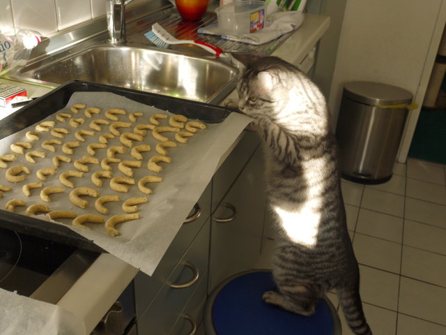 Backen mit Shiva