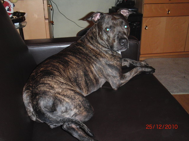 Mein Prinzessin "Lissi"