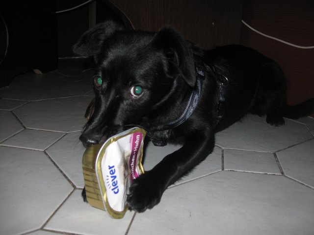 unsere kleine Soraya