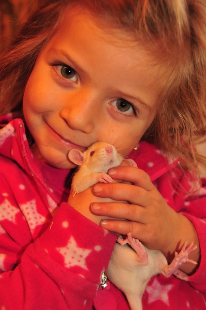 Jennifer mit RUBY ,einer unser 7 Ratti´s