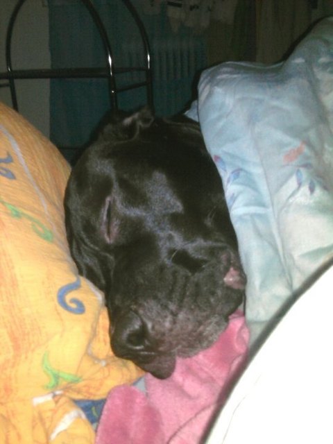 Spike