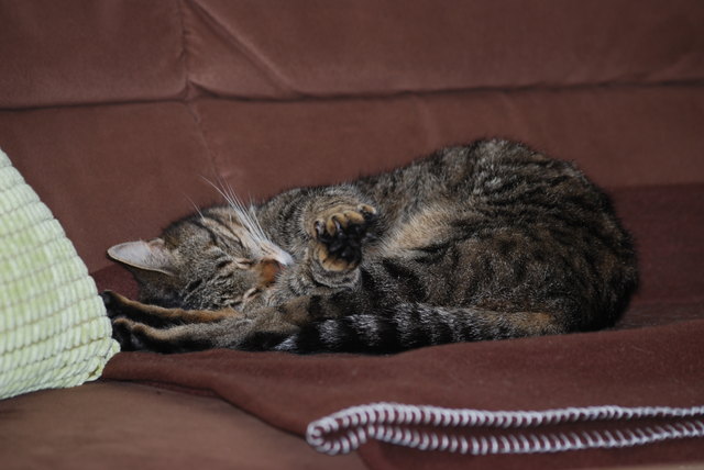 Ich bete, dass ich gewinne...