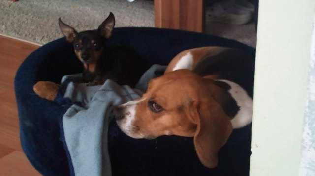 Laura und Billy