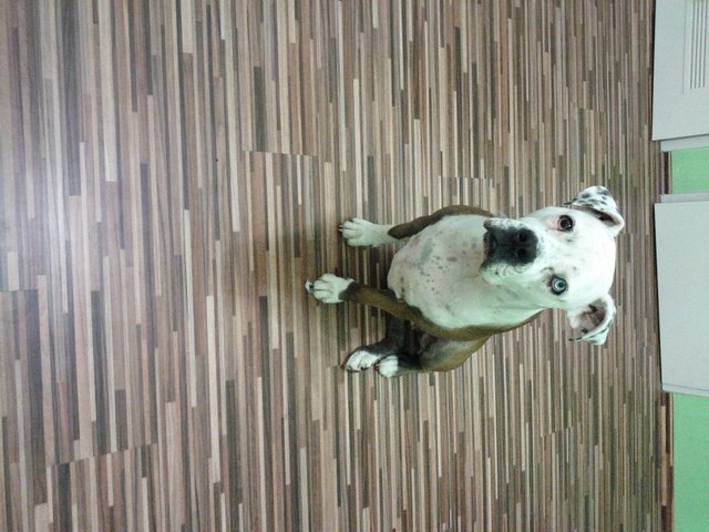 Soooo brav die kleine Kira