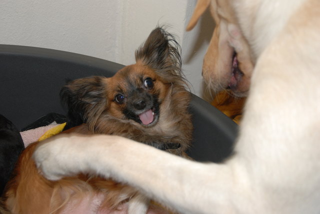 Unsere Kimmy
