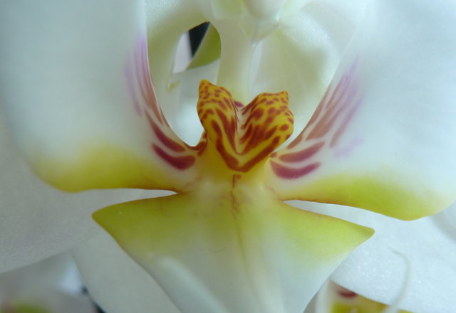 was mag das wohl sein ?