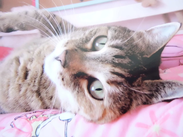 Flotschi, unser Liebling