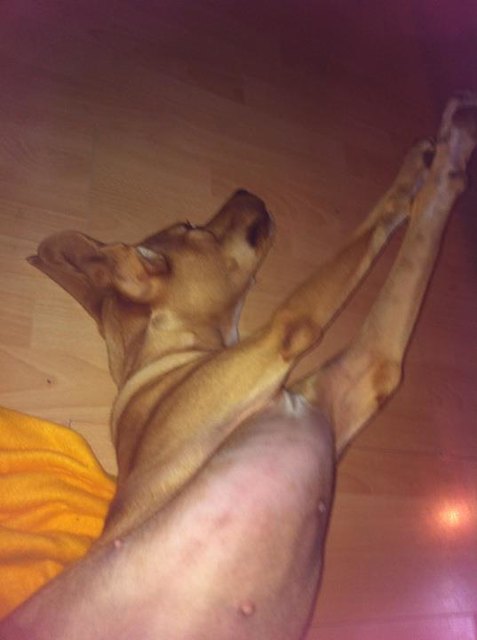 Einmal streeeeeecken bitte
