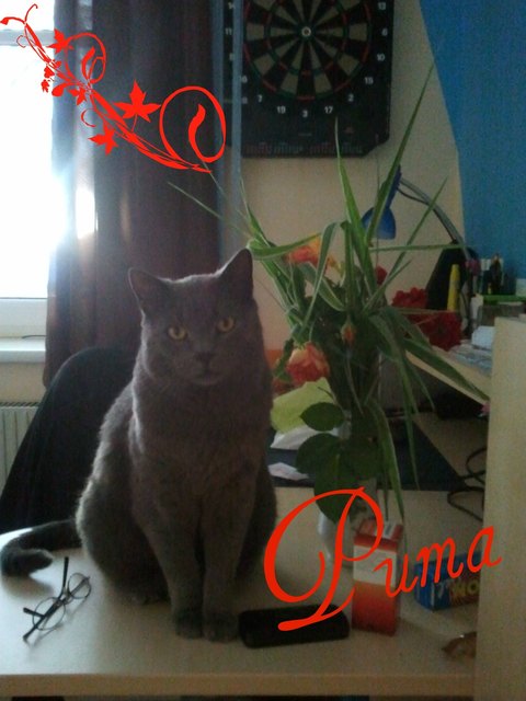 hihi wie ein Model