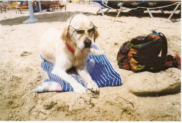Ich mache Urlaub