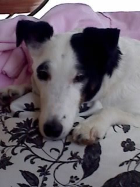 Beverly die Prinzessin